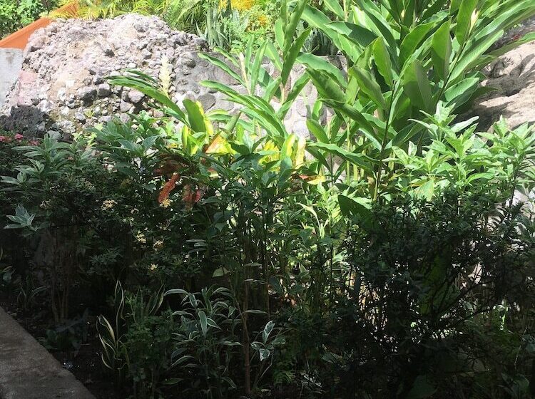 هتل The Still Beach House