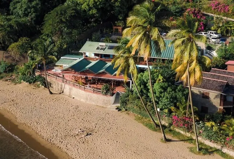 هتل The Still Beach House
