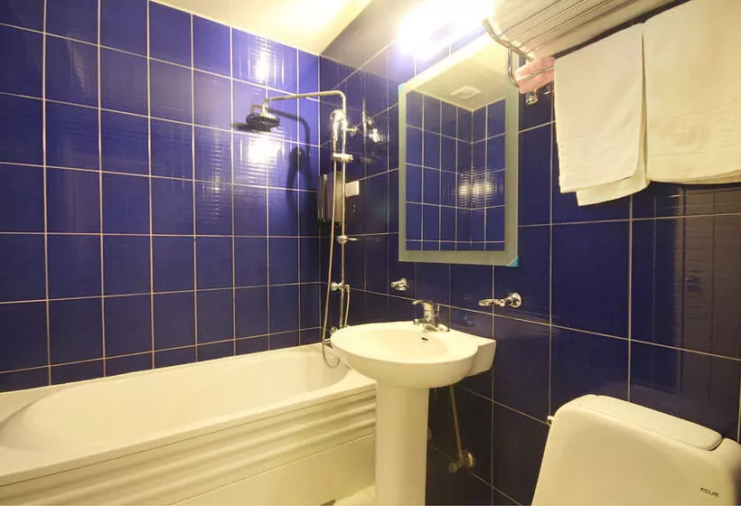 בית מלון כפרי Jeonju Tourist