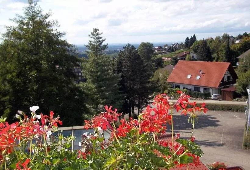 Schwarzwaldhotel Hotel Brandbach