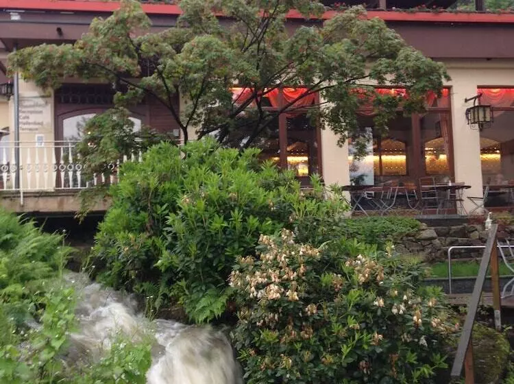 Schwarzwaldhotel Hotel Brandbach