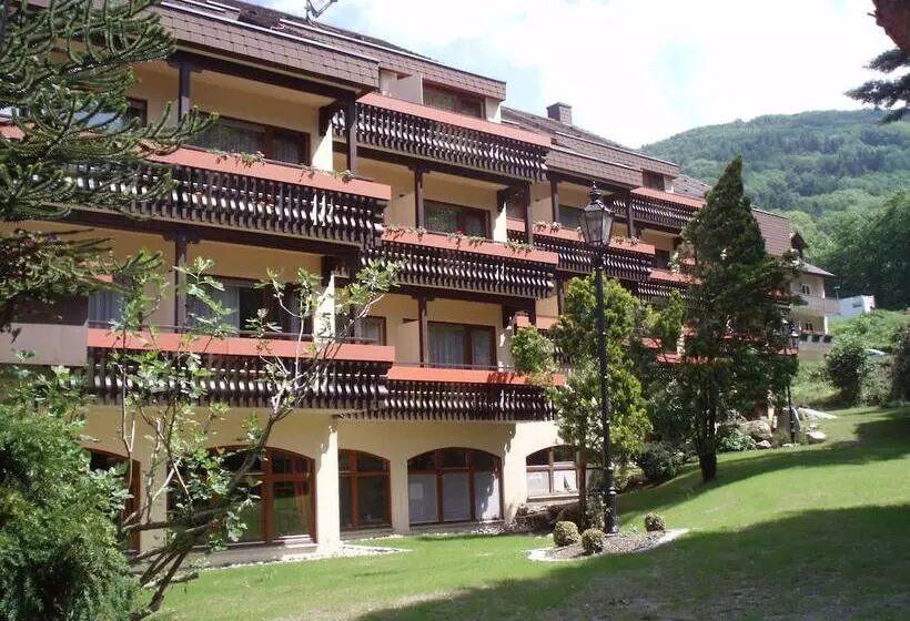 Schwarzwaldhotel Hotel Brandbach