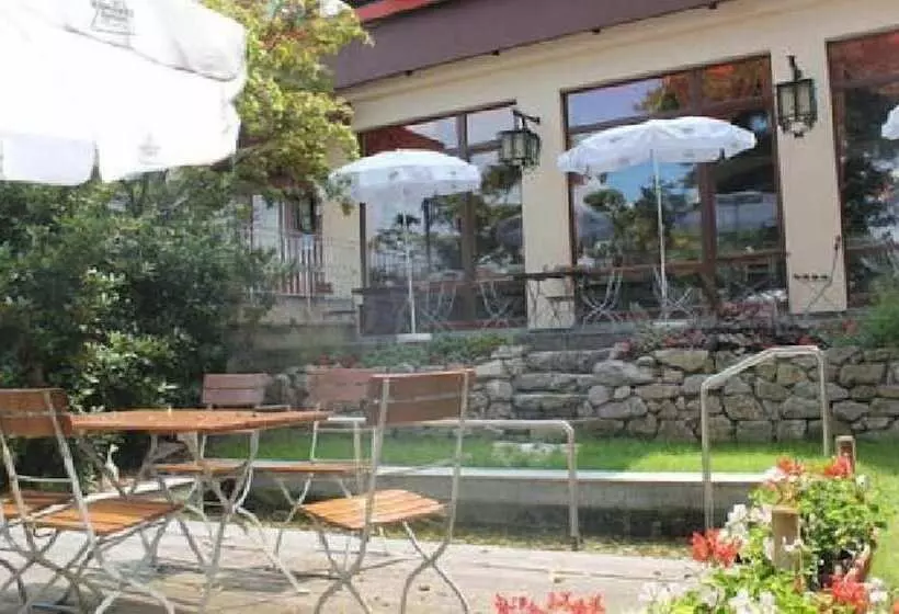 Schwarzwaldhotel Hotel Brandbach