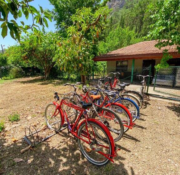 Canada Hotel & Bungalows