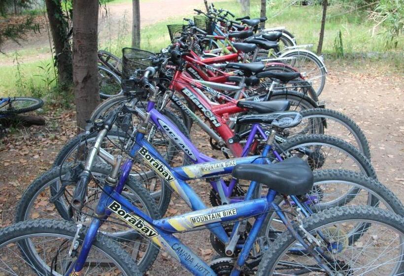 Canada Hotel & Bungalows