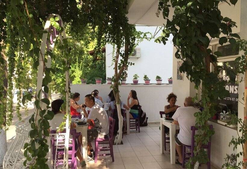 فندق Agan Pension