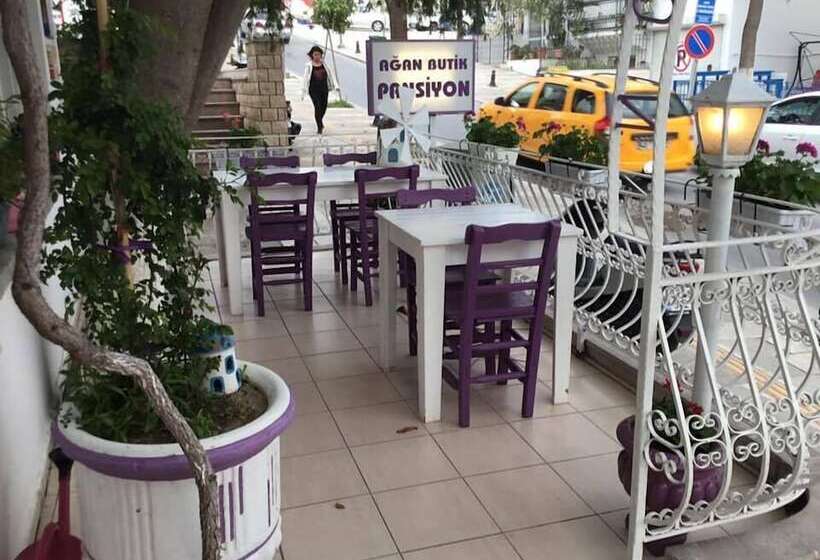 فندق Agan Pension