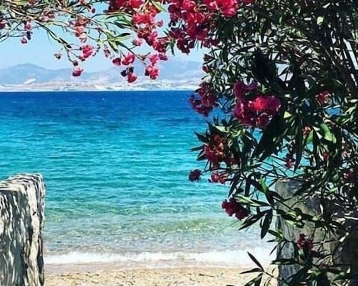 فندق Agan Pension