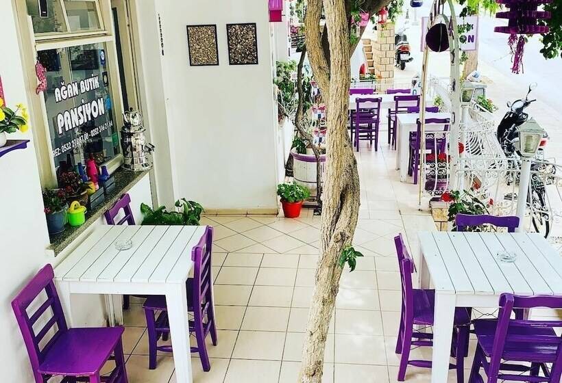 فندق Agan Pension