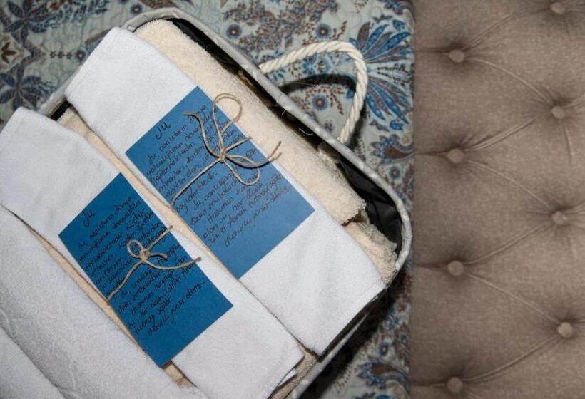 فندق Artemis Selcuk Suites