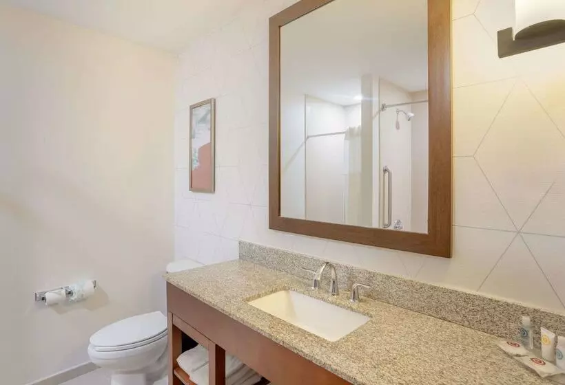 酒店 Comfort Suites