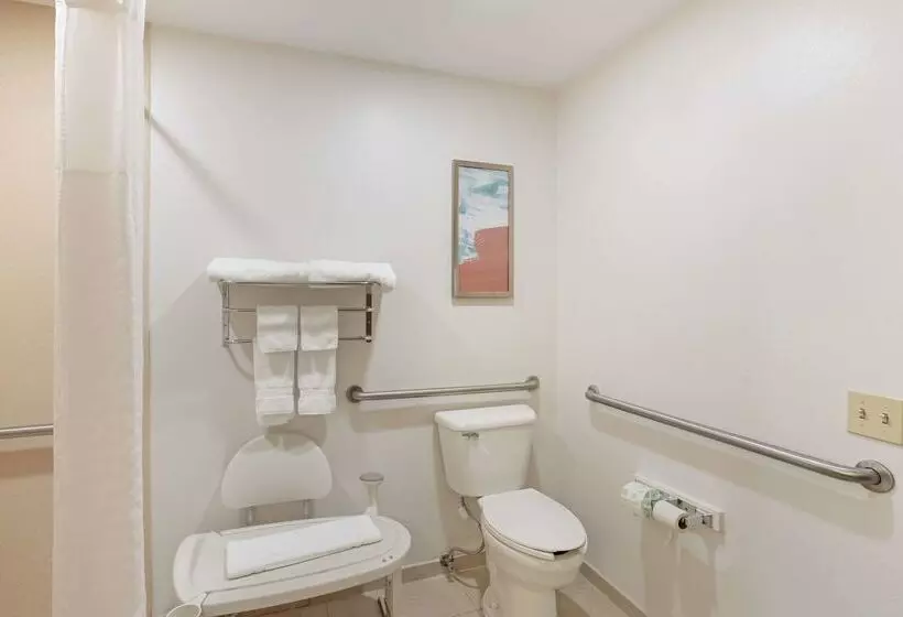 酒店 Comfort Suites