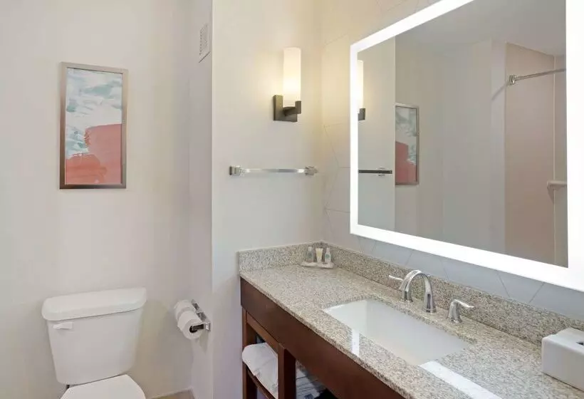 酒店 Comfort Suites