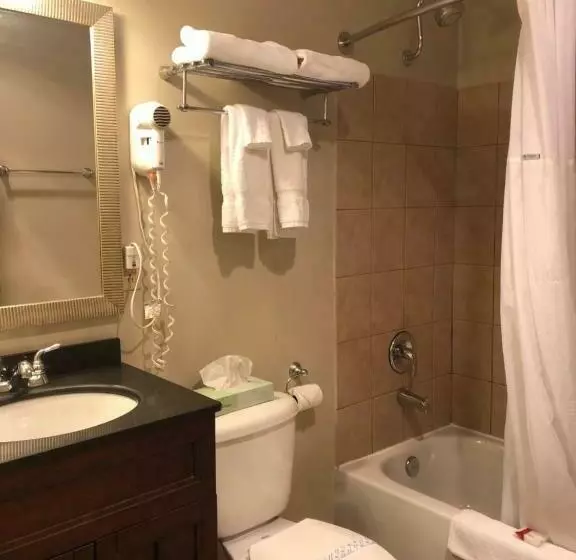 Отель Global Inn