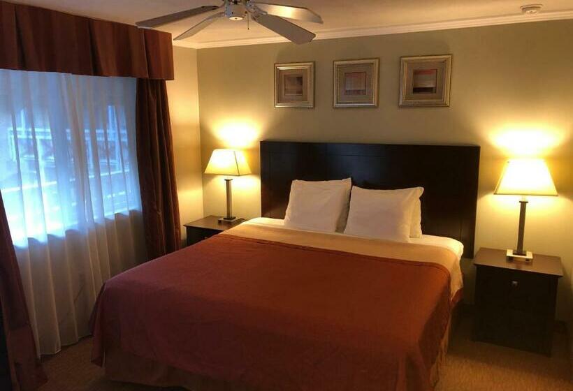 ホテル Global Inn