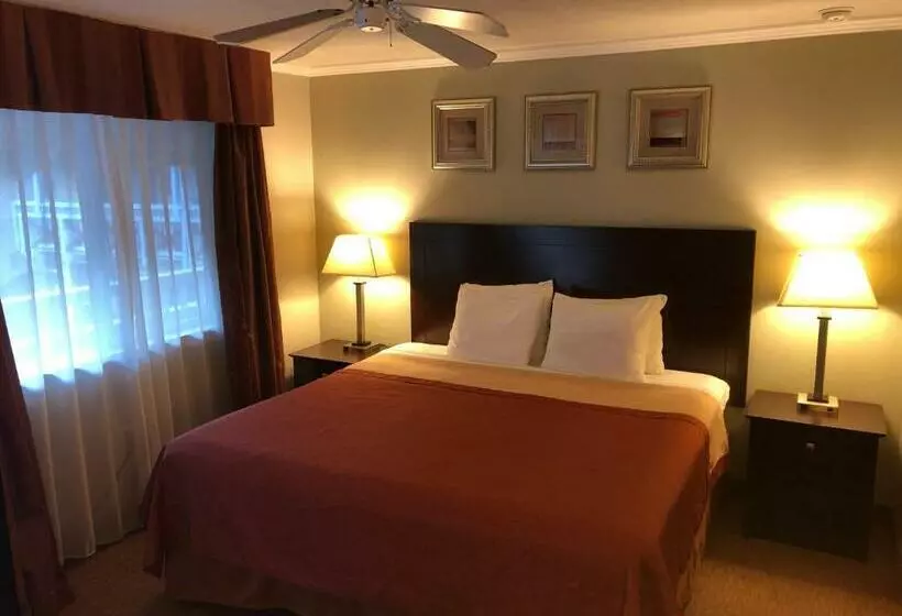 Отель Global Inn