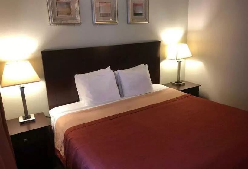 Отель Global Inn