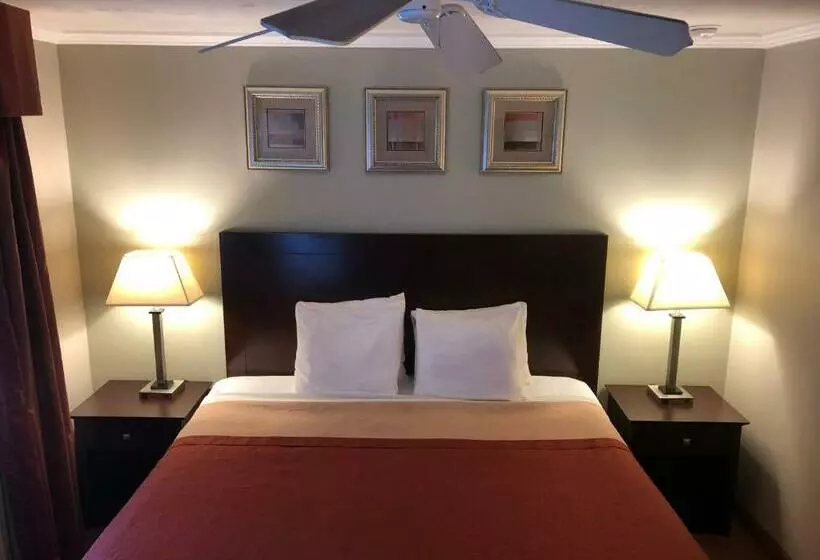 Отель Global Inn