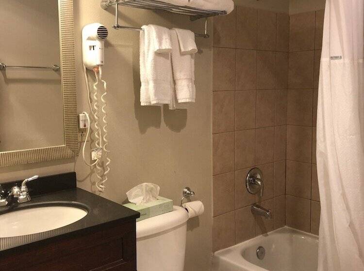 ホテル Global Inn