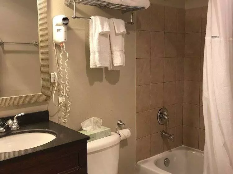 Отель Global Inn