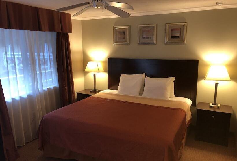 ホテル Global Inn