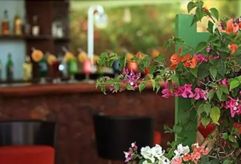 בית מלון כפרי Les Amaryllis Saly