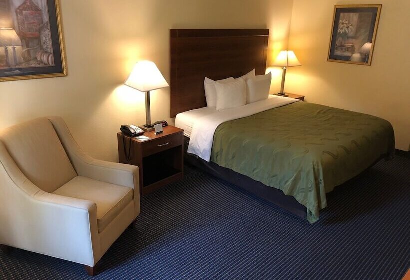酒店 Quality Inn Americus