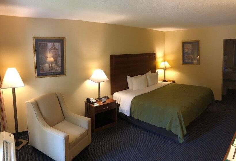 酒店 Quality Inn Americus