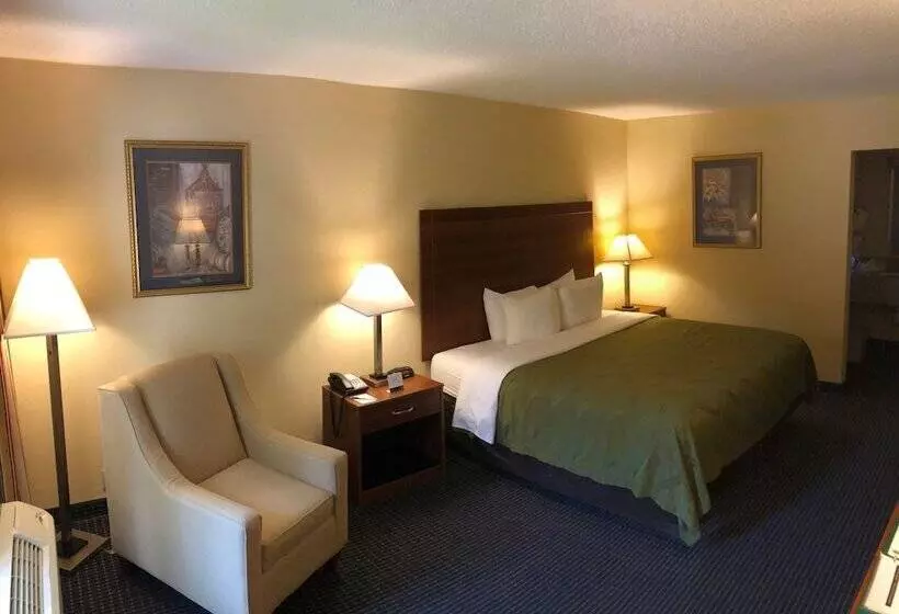 酒店 Quality Inn Americus