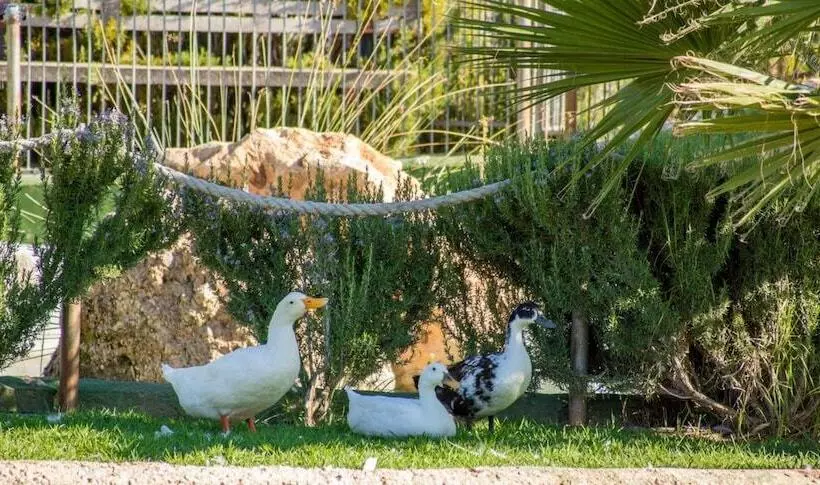 فندق ريفى Rural El Cortijo