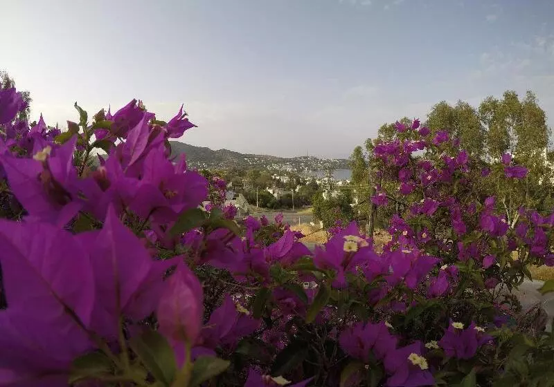 Panorama Hotel Bodrum