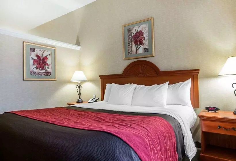 Hotel Comfort Inn & Suites Adj To Akwesasne Mohawk Casino