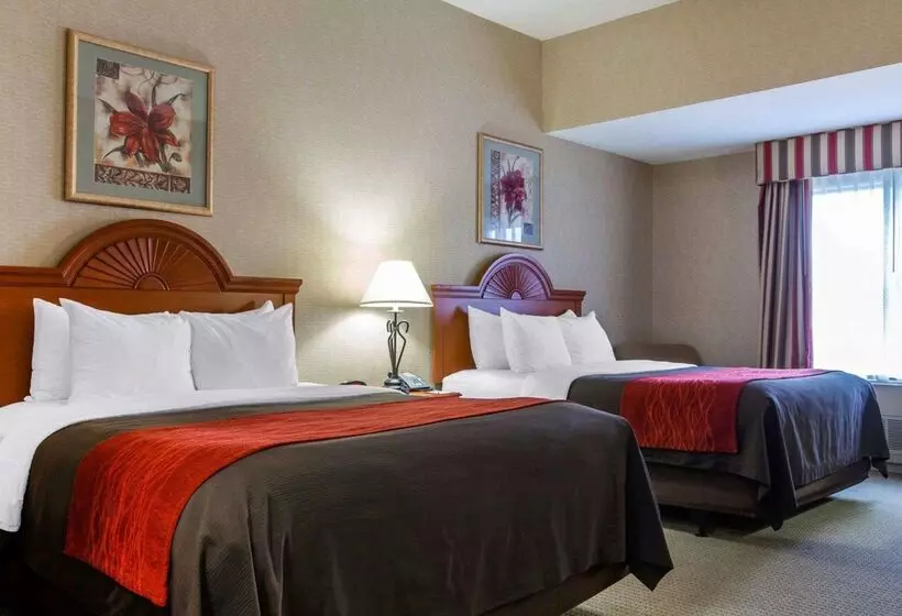 Hotel Comfort Inn & Suites Adj To Akwesasne Mohawk Casino