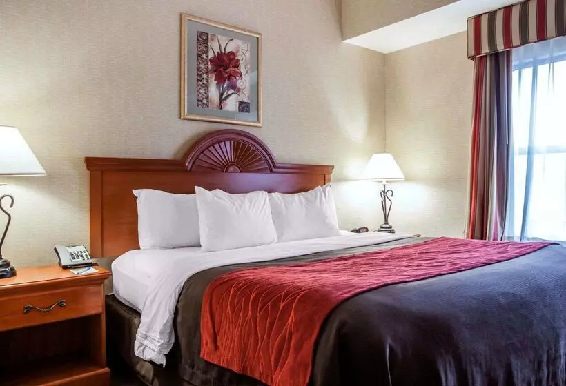 Hotel Comfort Inn & Suites Adj To Akwesasne Mohawk Casino