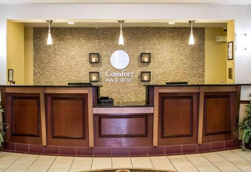 ホテル Comfort Inn & Suites Kent University Area