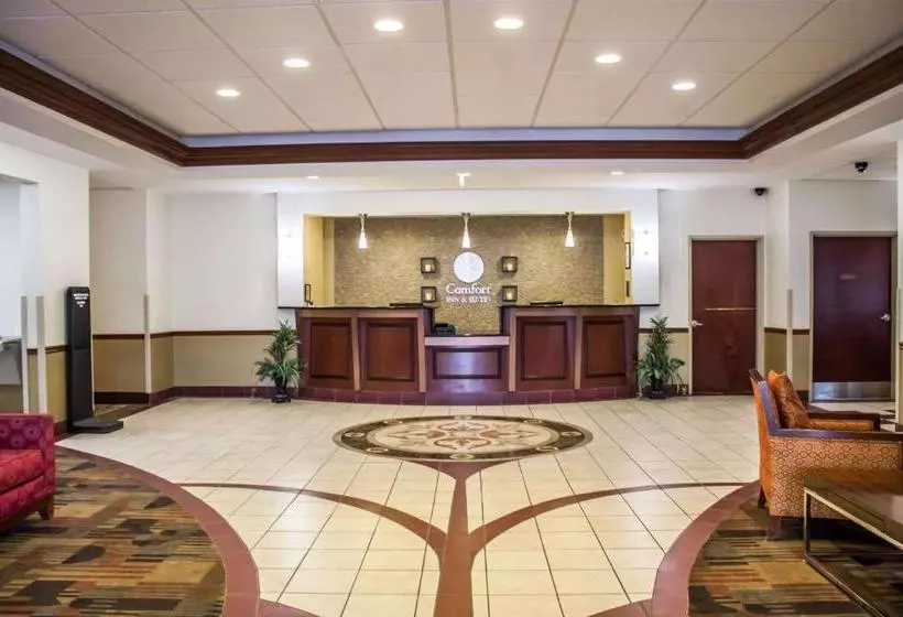 ホテル Comfort Inn & Suites Kent University Area