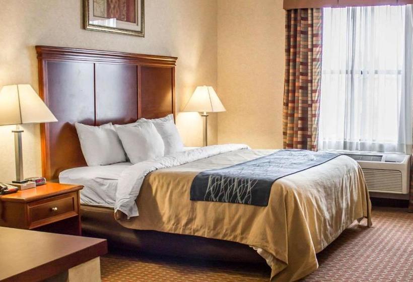 ホテル Comfort Inn & Suites Kent University Area