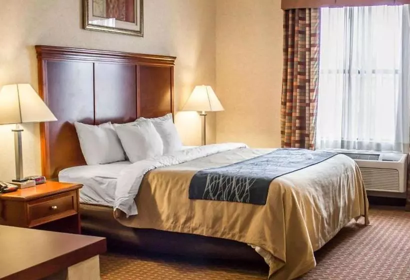 ホテル Comfort Inn & Suites Kent University Area