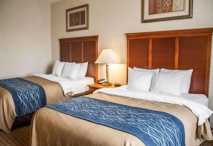 ホテル Comfort Inn & Suites Kent University Area