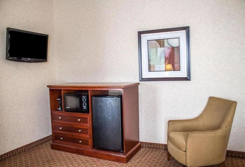 ホテル Comfort Inn & Suites Kent University Area