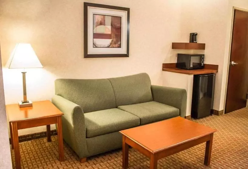 ホテル Comfort Inn & Suites Kent University Area