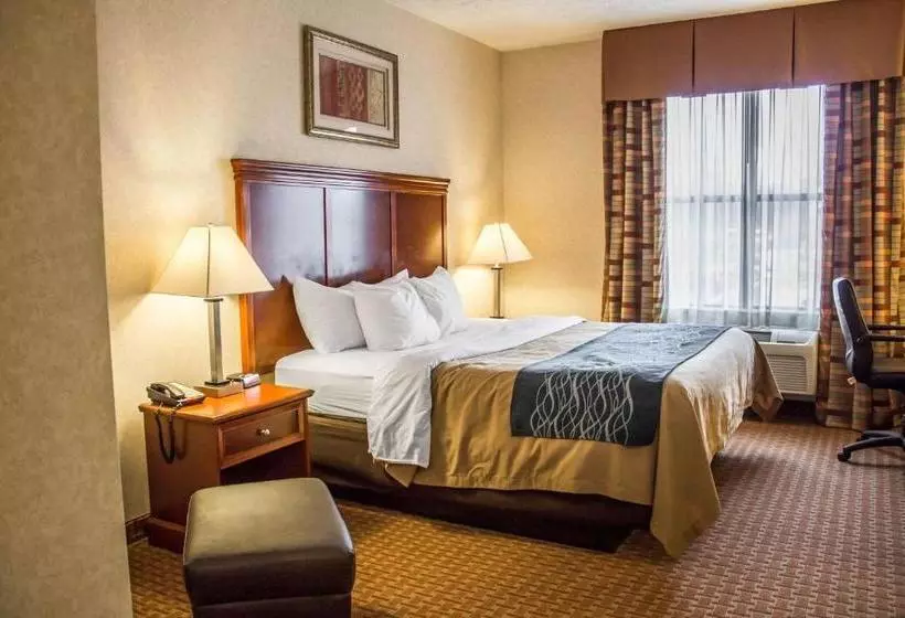 ホテル Comfort Inn & Suites Kent University Area