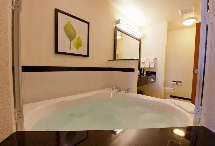 Отель Fairfield Inn And Suites Flint Fenton