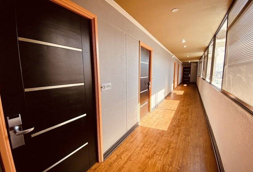 فندق Gran Cavancha Suite