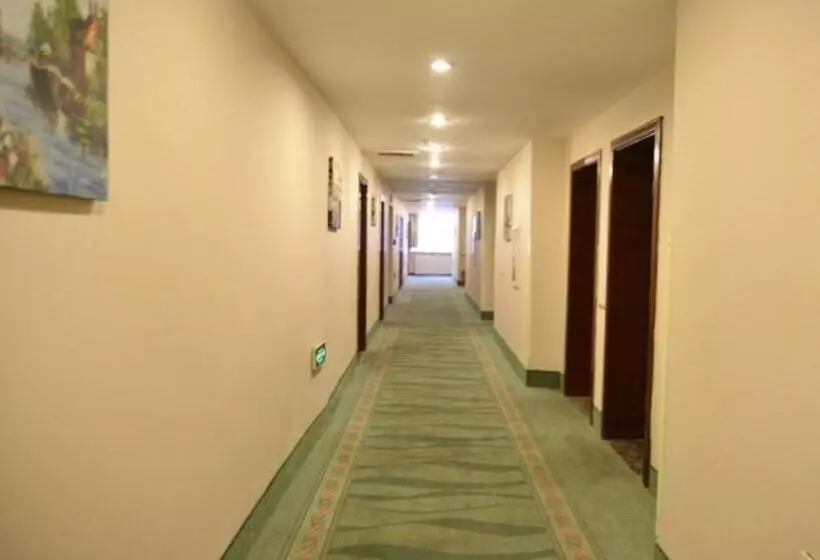 ホテル Greentree Inn Urumqi South Xinhua Road