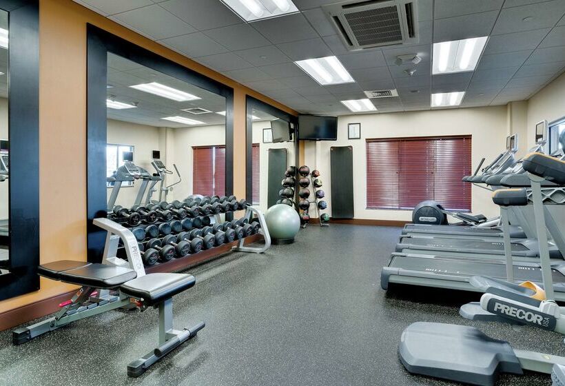 فندق Hilton Garden Inn Milwaukee Airport