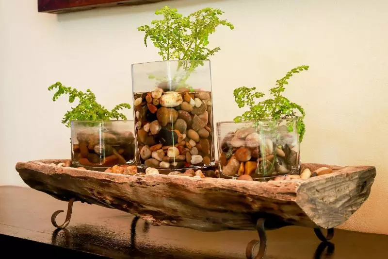 Las Magnolias Hotel Boutique