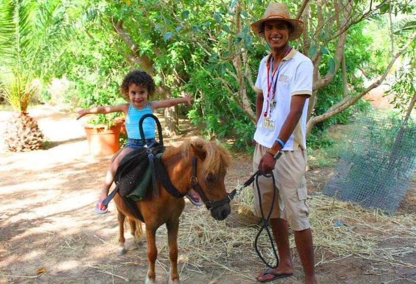 酒店 Mahdia Beach & Aqua Park