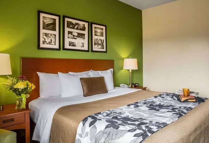 호텔 Sleep Inn & Suites Near Palmetto State Park