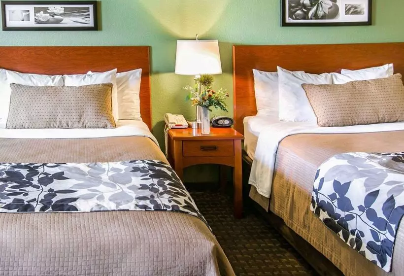 호텔 Sleep Inn & Suites Near Palmetto State Park